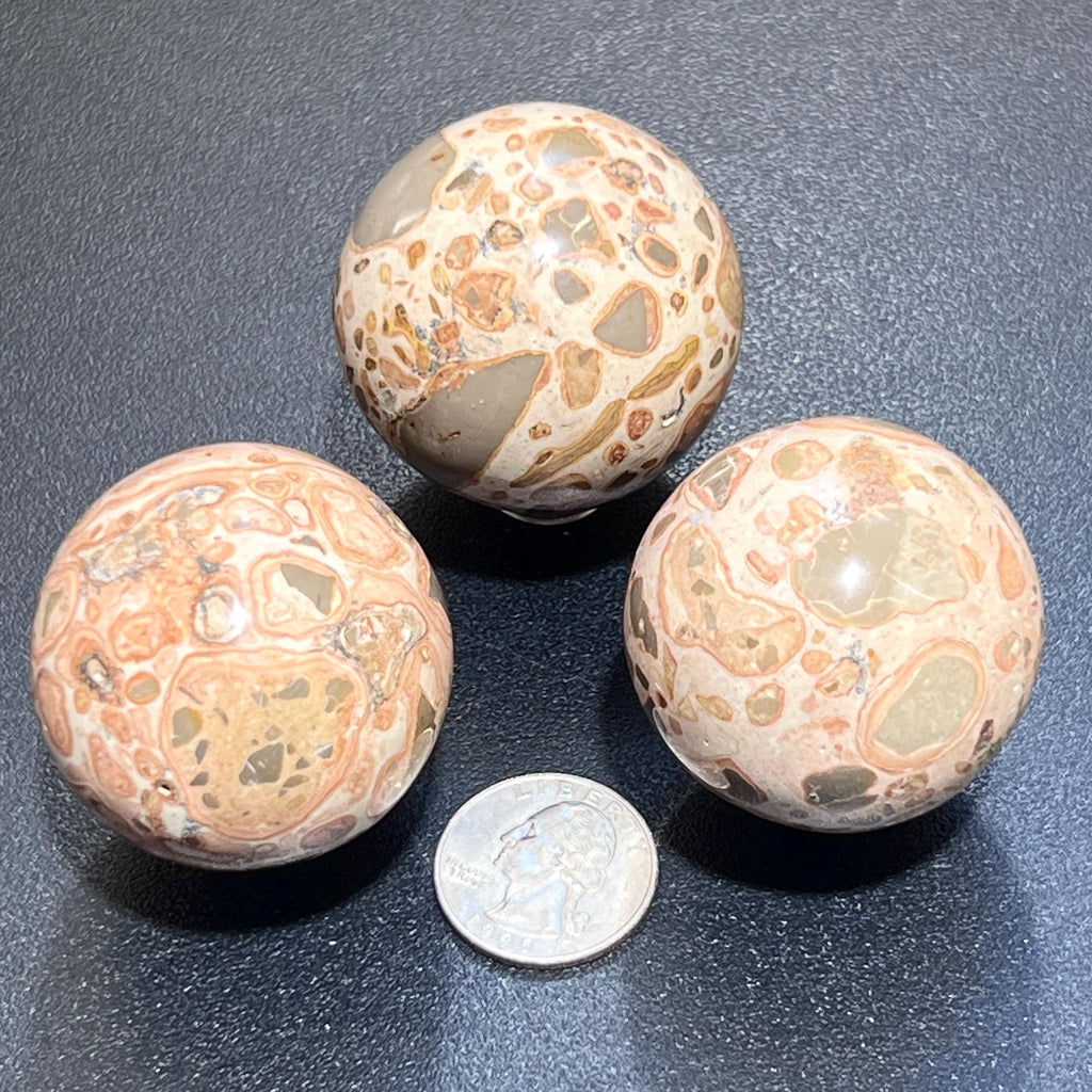 Leopardite Leopard Skin Jasper Sphere (4 CM)