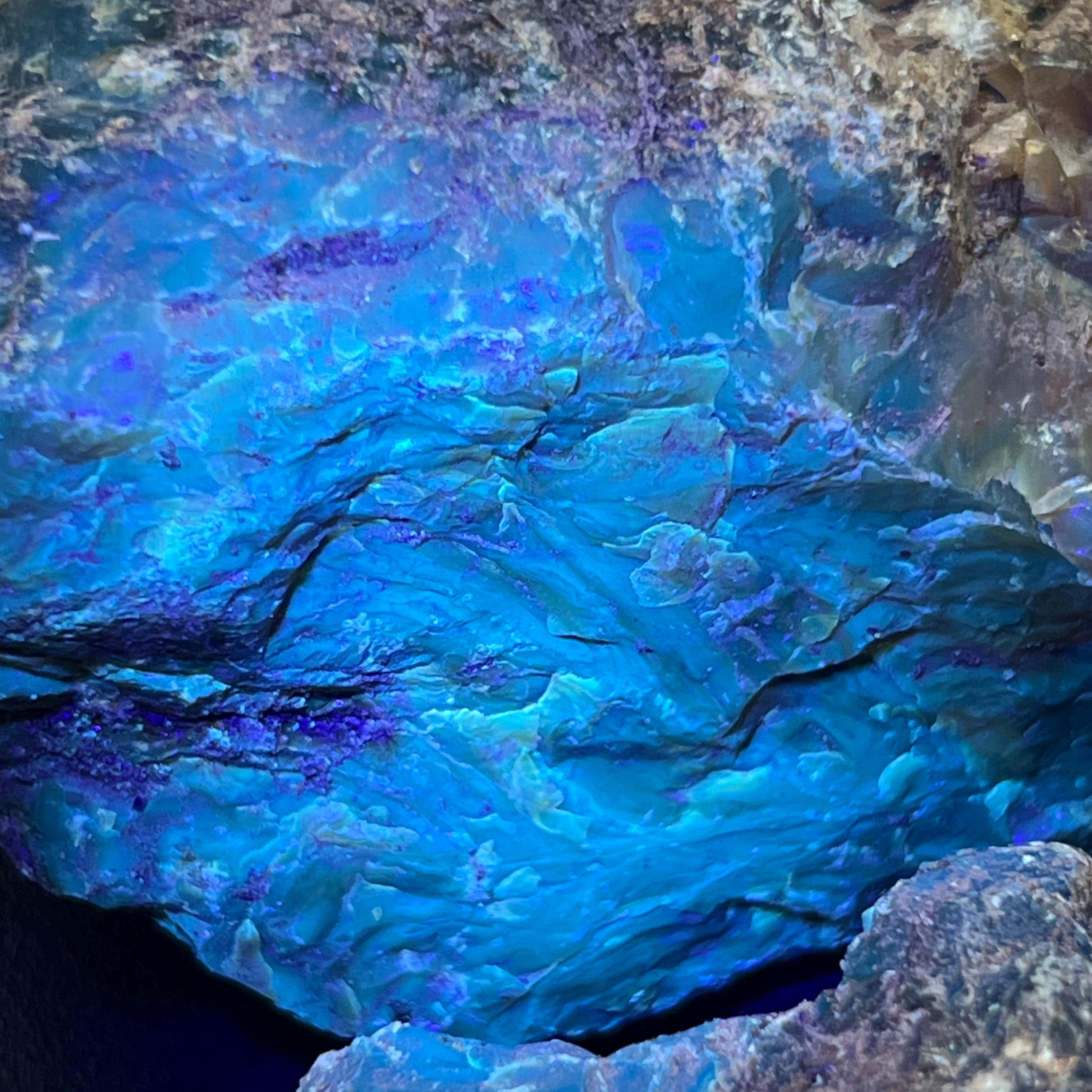 Black Amber (Fossilized Tree Resin) Raw Large Boulders (UV Reactive)