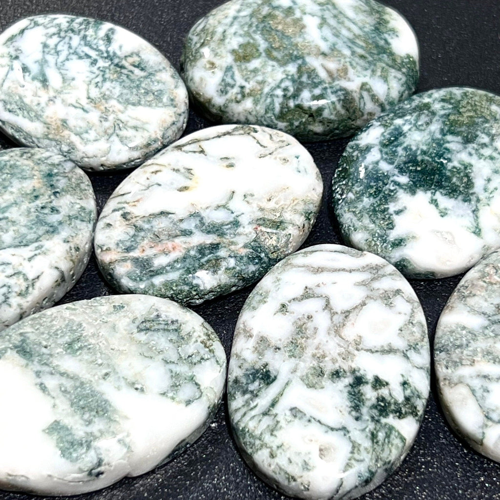 Tree Agate Cabochons Mixed Shapes And Sizes