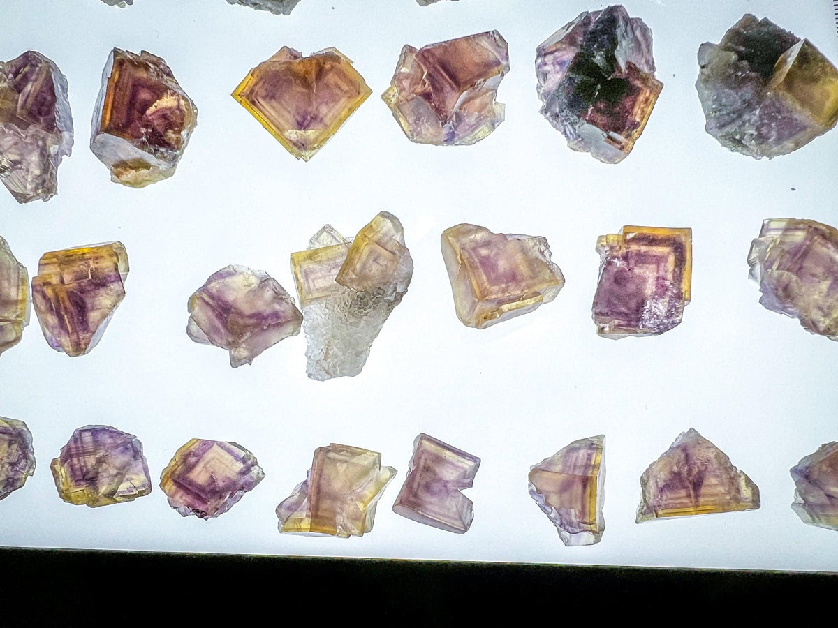ANHUI Yellow Fluorite with Thousand Layer Purple Phantoms, RARE Minerals