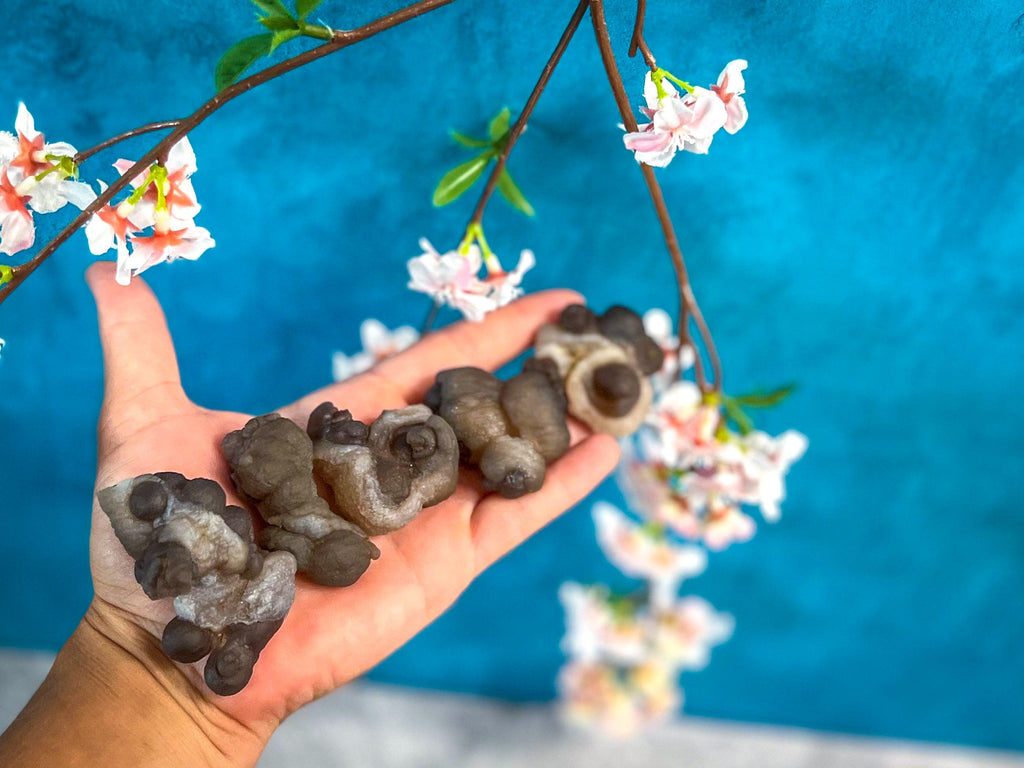 Raw TRUFFLE CHALCEDONY Specimens, also known as Womb Stone, Witches Wart Chalcedony, Chalcedony Balls