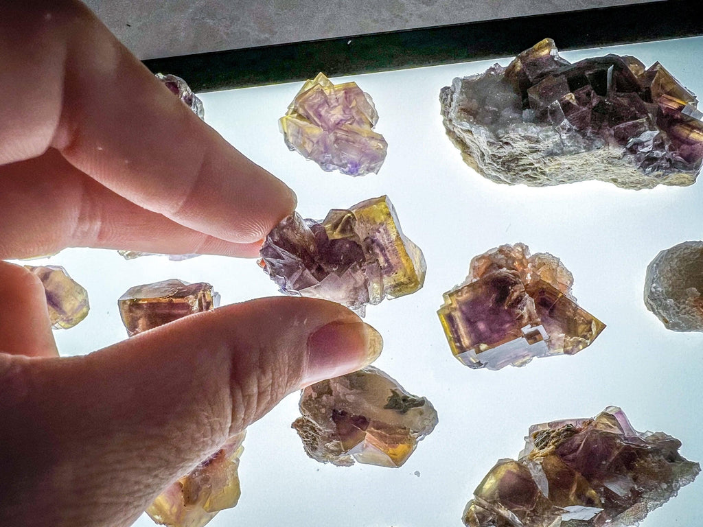 ANHUI Yellow Fluorite with Thousand Layer Purple Phantoms, RARE Minerals