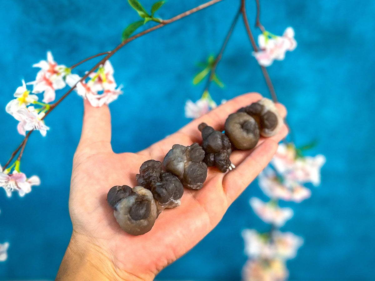 Raw TRUFFLE CHALCEDONY Specimens, also known as Womb Stone, Witches Wart Chalcedony, Chalcedony Balls