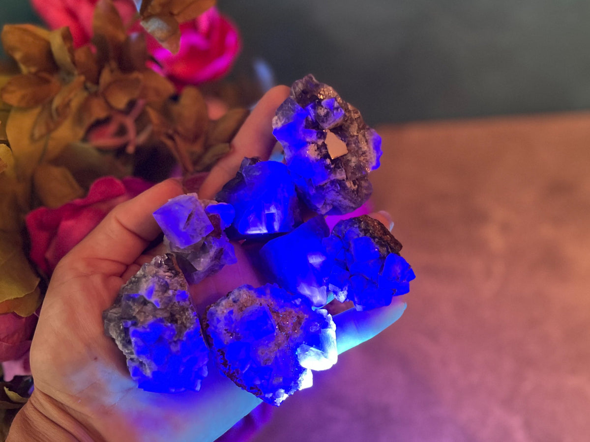 RARE Lady Annabella Fluorite Clusters, Green Purple Yellow and Clear Fluorite, CLOSED Mine!