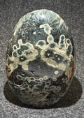 Kambaba Jasper Freeform with Druzy